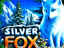 Автомат Silver Fox в виртуальном казино
