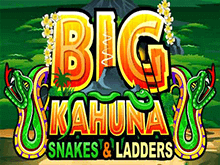 Big Kahuna Snakes And Ladders
