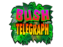 Игра на деньги в игровые автоматы Bush Telegraph